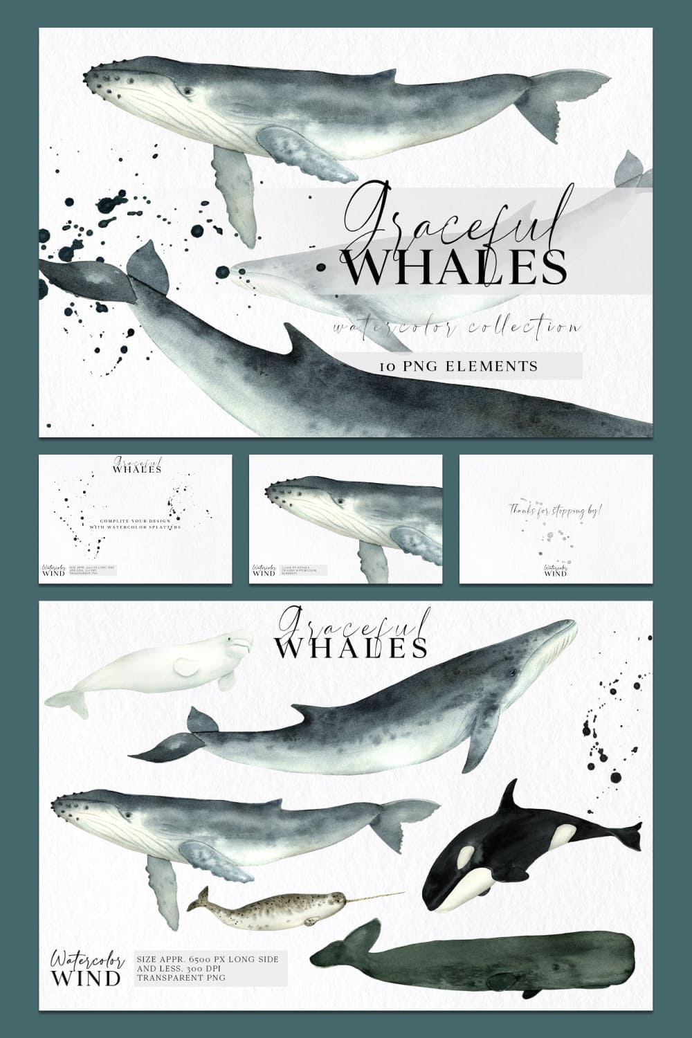 watercolor whales clipart hand painted set.