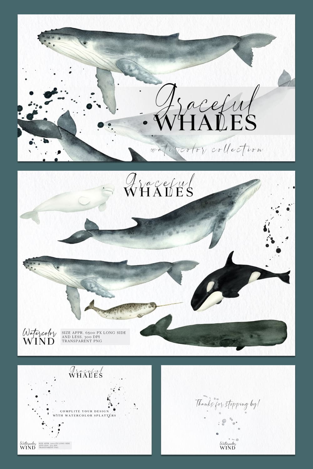 watercolor whales clipart pack.