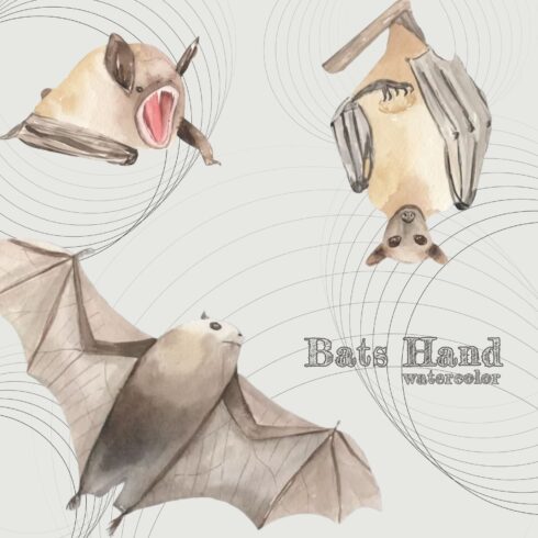 Watercolors Bats Hand Painted Chiroptera Wings Cute cover image.
