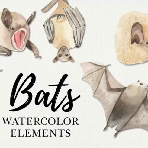 Watercolors Bats Hand Painted Chiroptera Wings Cute facebook image.