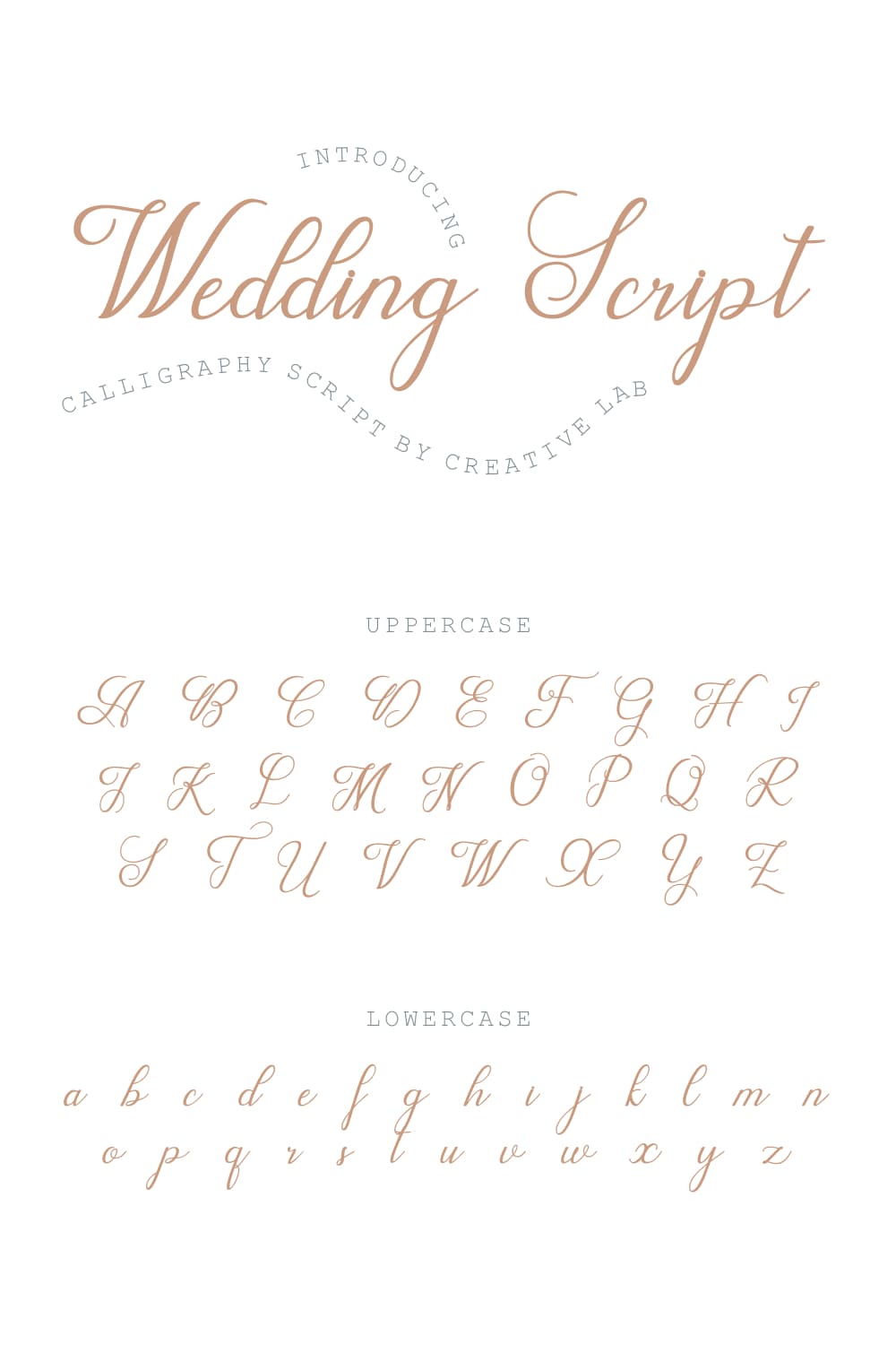Wedding Script Free Font Pinterest with uppercase lowercase preview.