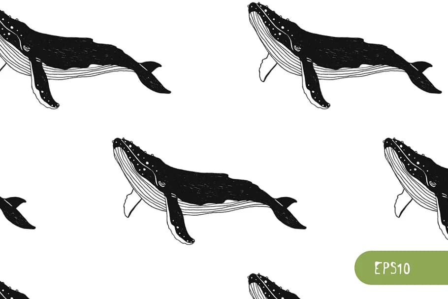 whale illustration for patterns.