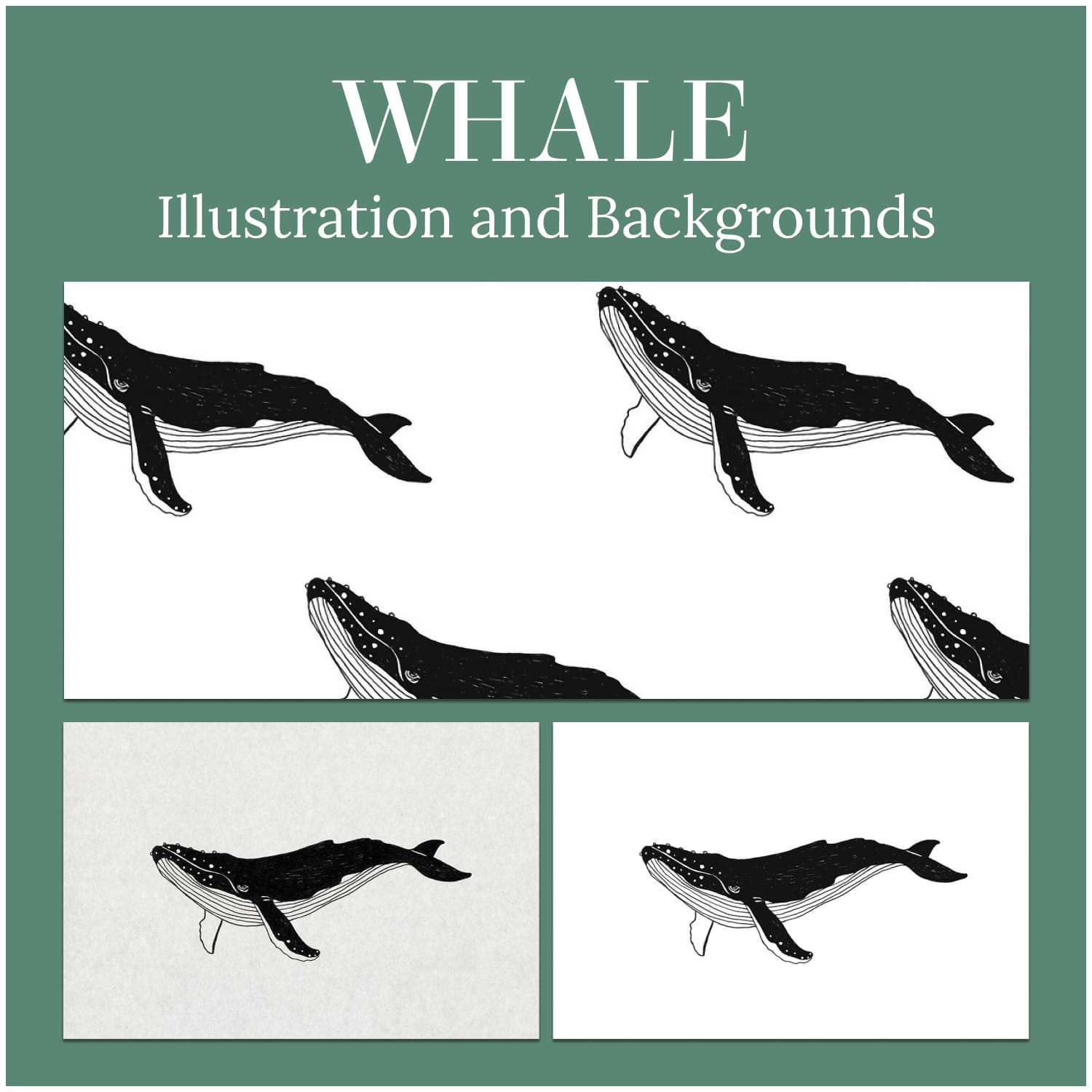 Whale Illustration and Backgrounds cover image.