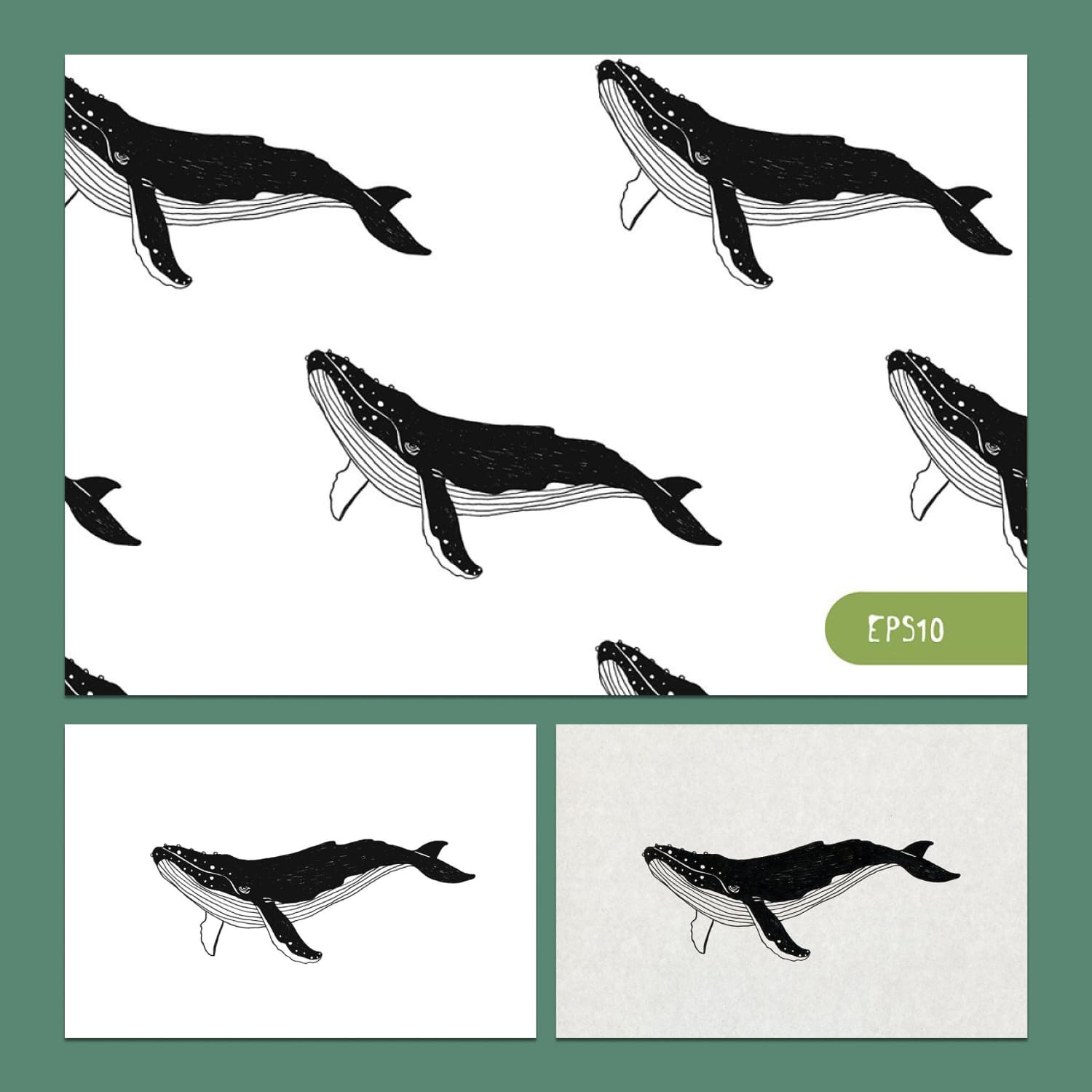 Whale Illustration and Backgrounds preview image.
