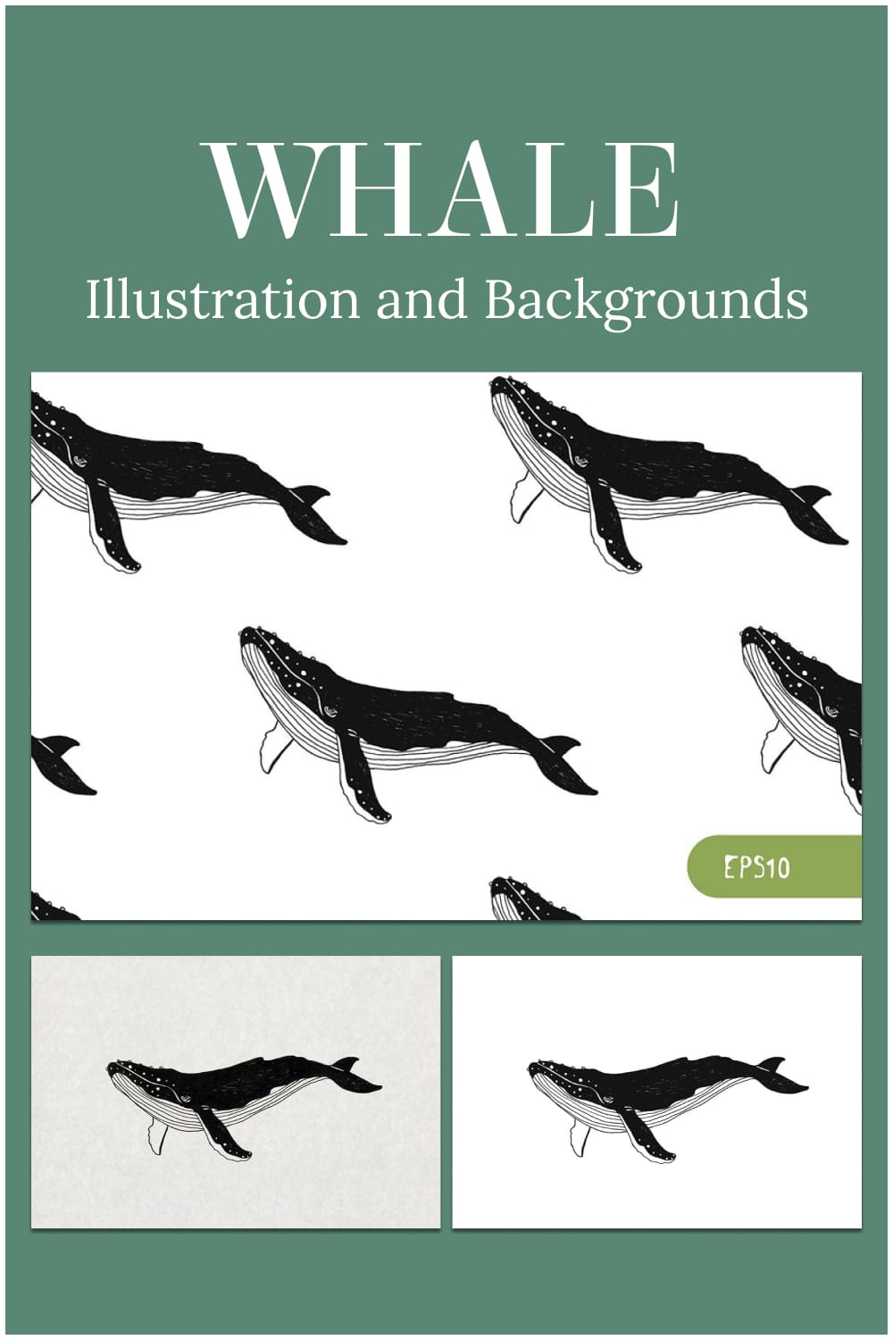 whale illustration and backgrounds clipart.