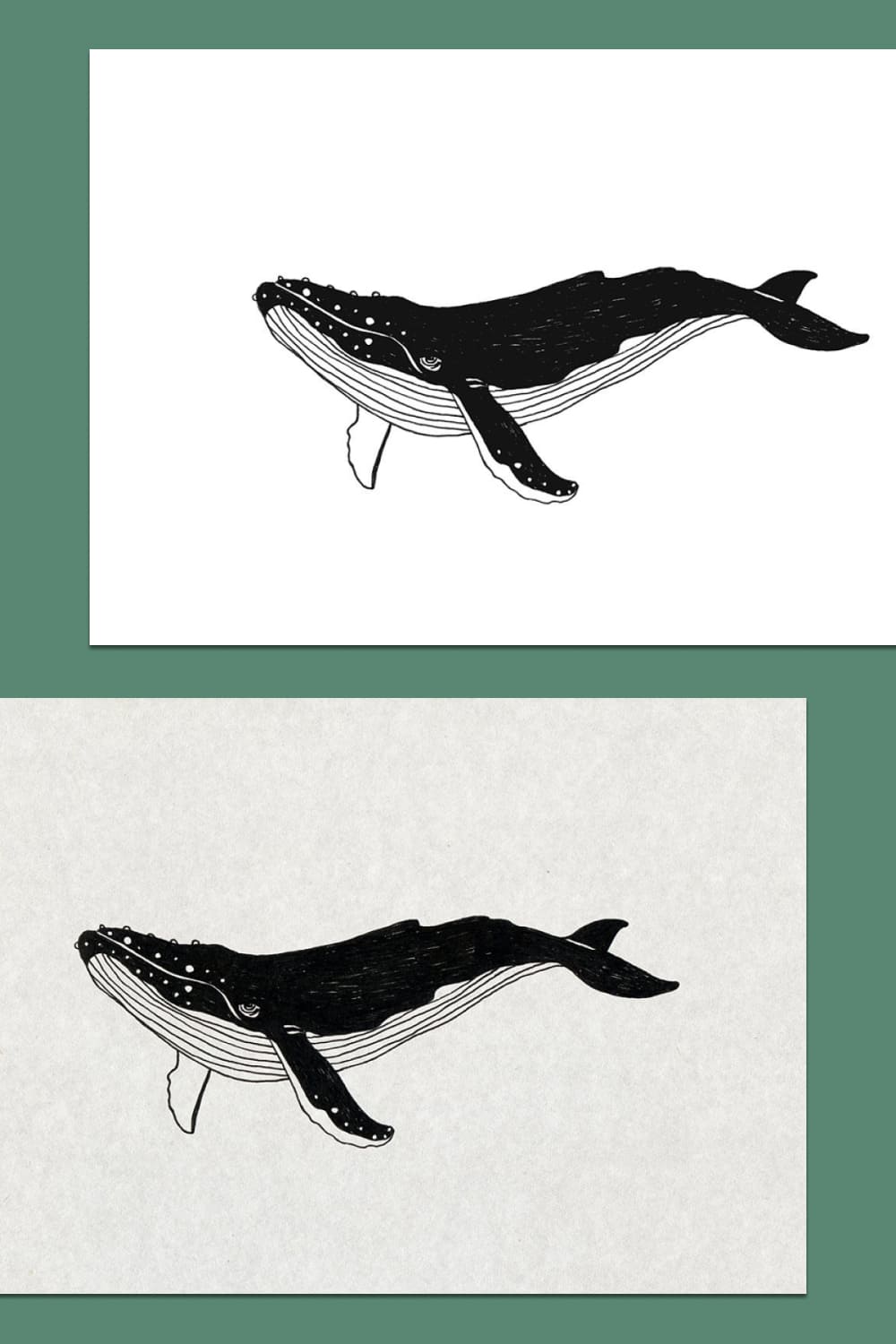 whale illustration and backgrounds for your ideas.