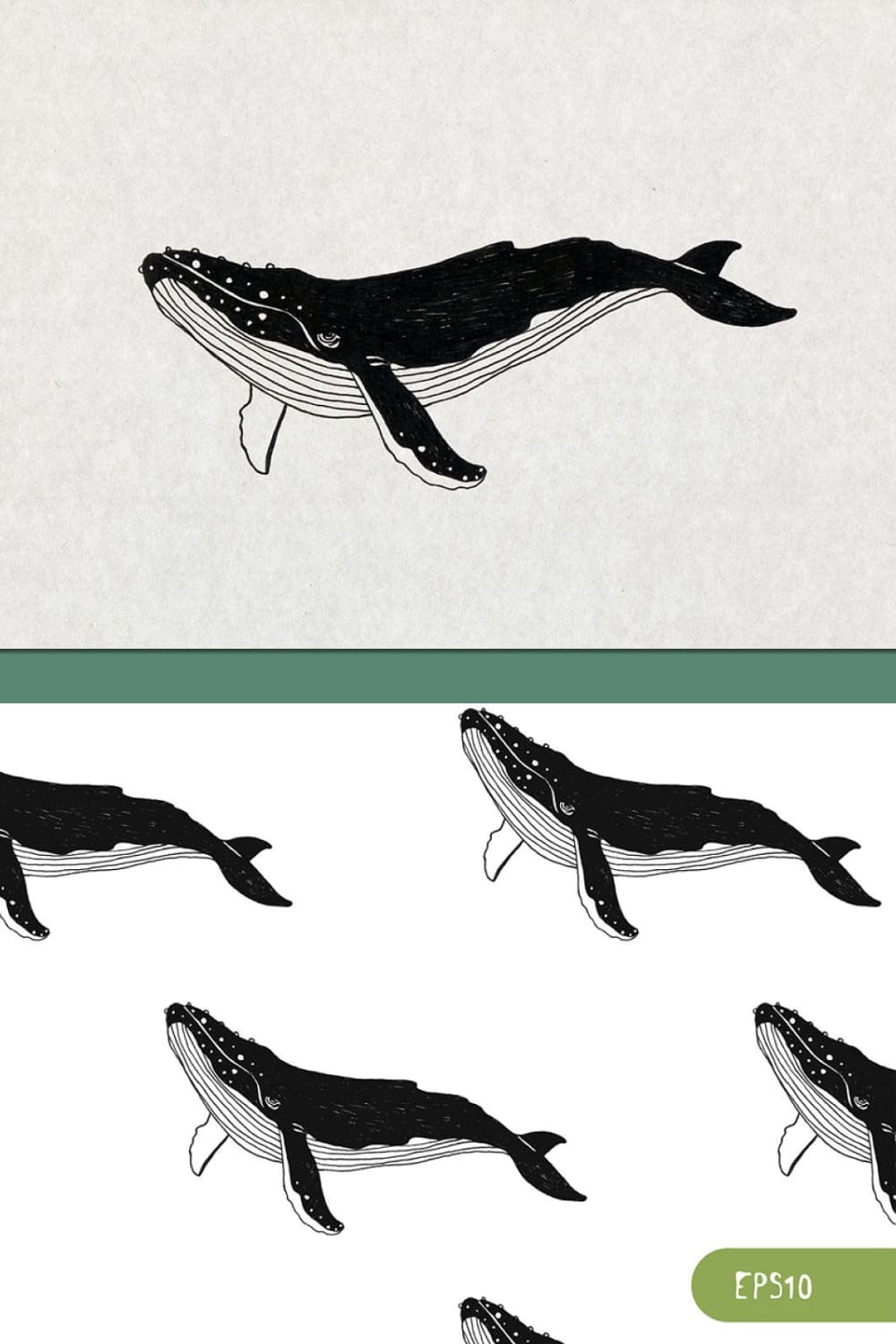 whale illustration and backgrounds for your design.