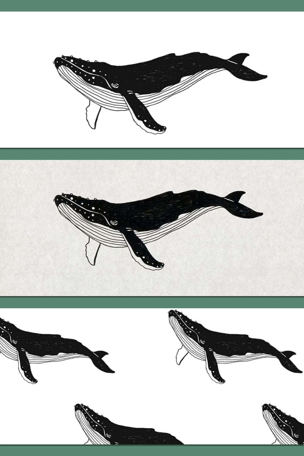 simple whale illustration and backgrounds.