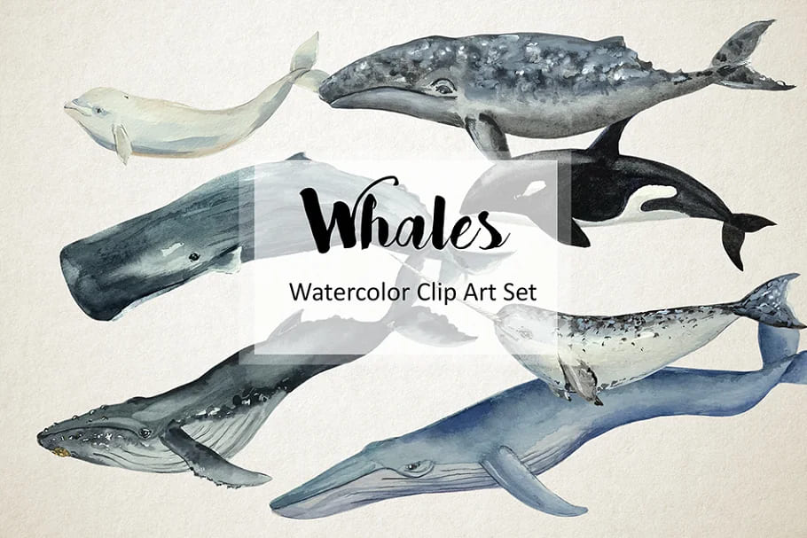 whales hand painted.
