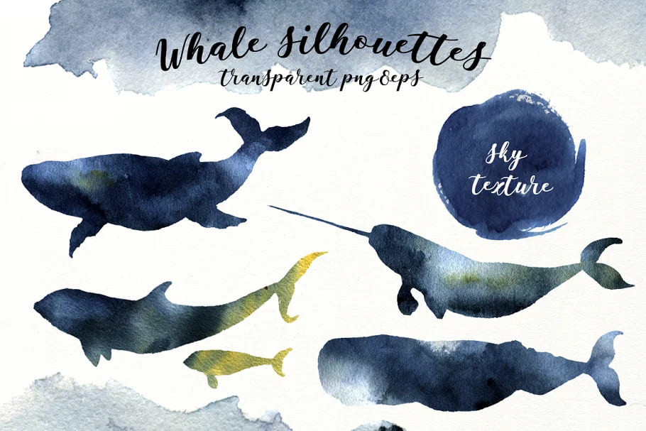 whales illustrations.