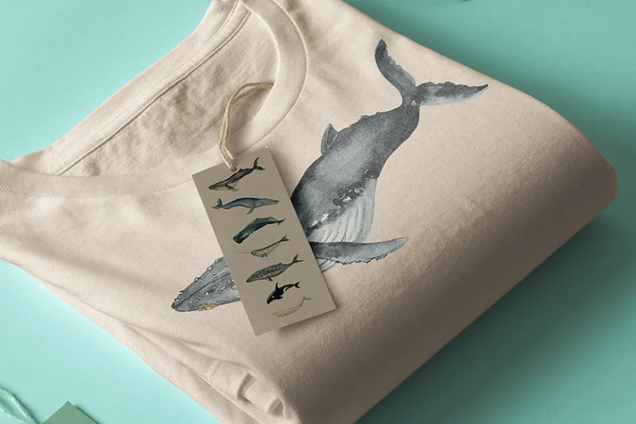 whales for print.