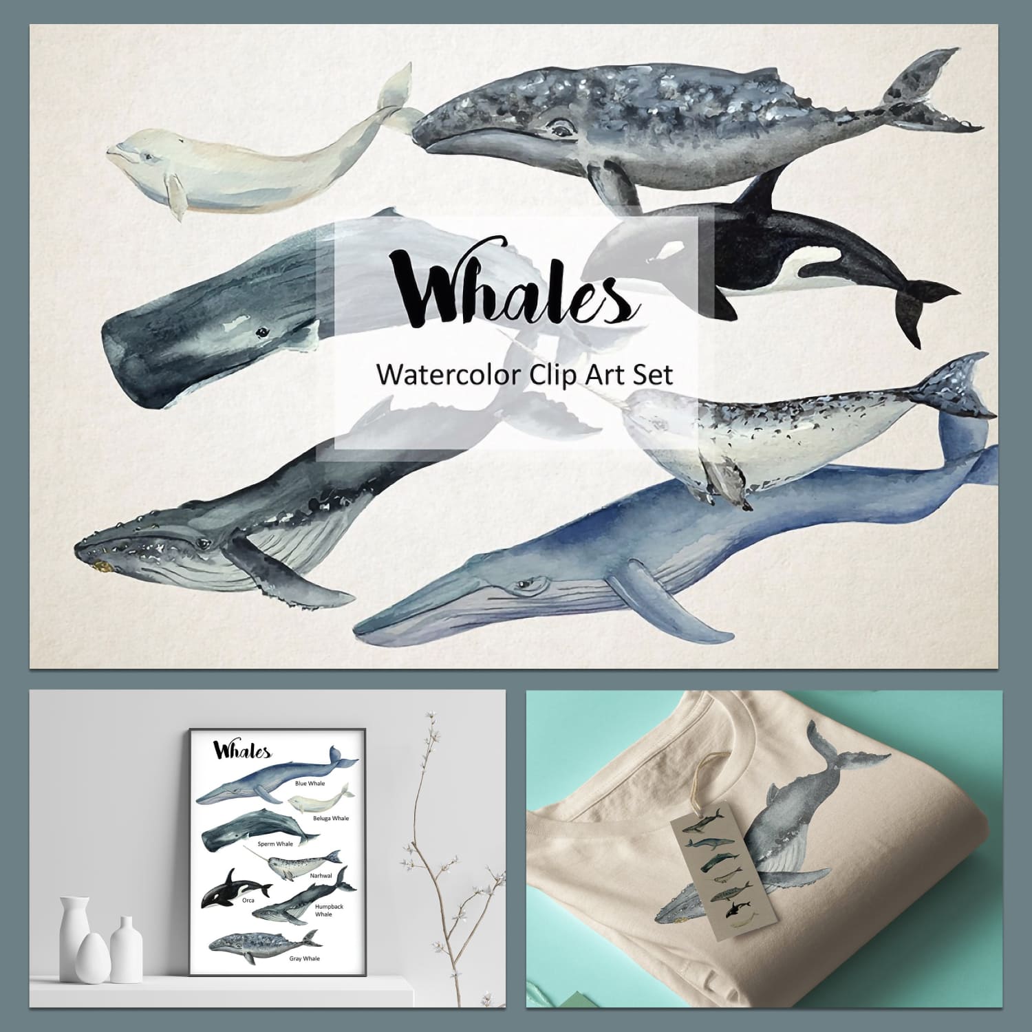 Whales - Watercolor Clip Art & Print Graphics cover image.