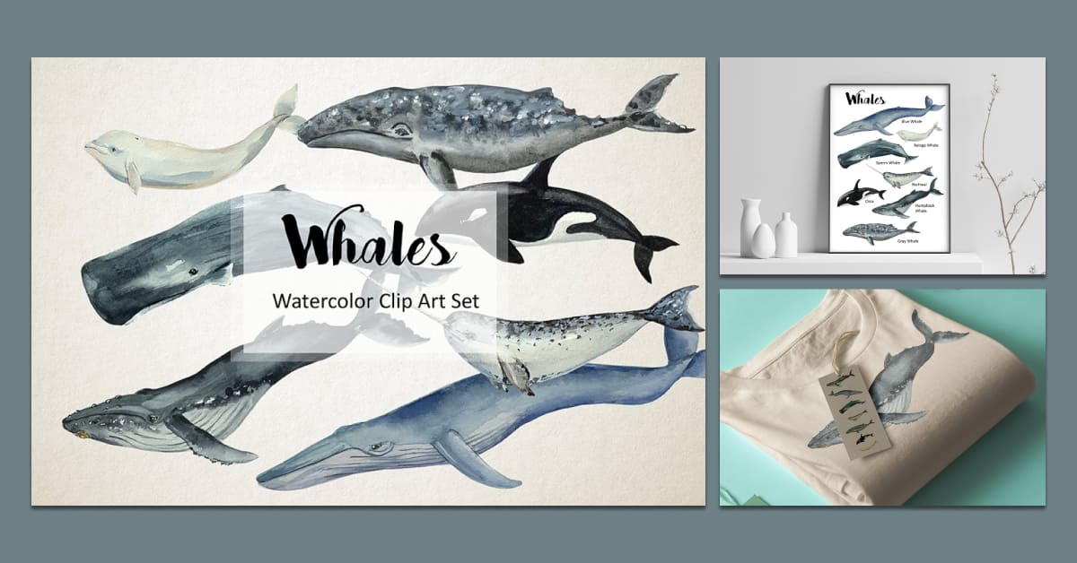 whales watercolor clip art print collection.