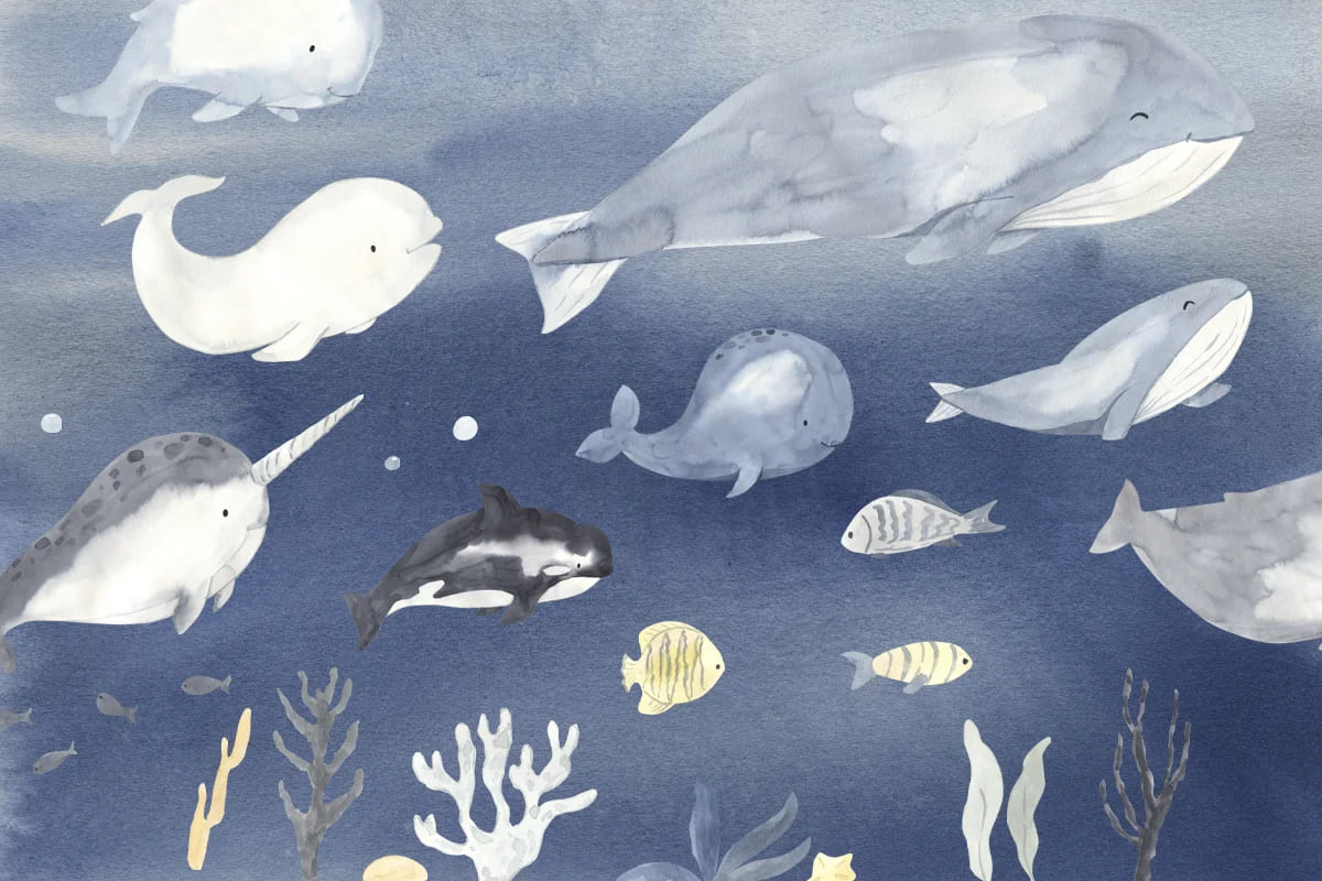 whales watercolor collection seaside graphics.