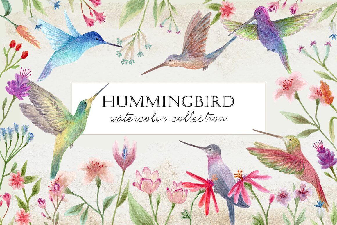 Watercolor collection of colorful hummingbirds.