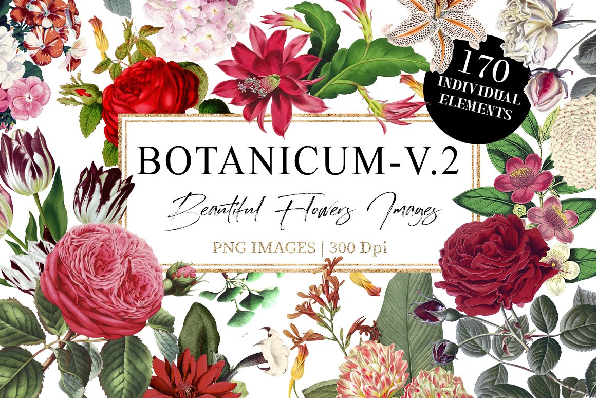 Layout botanical print.