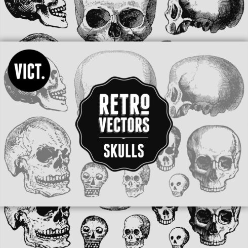 Vintage Skulls cover image.
