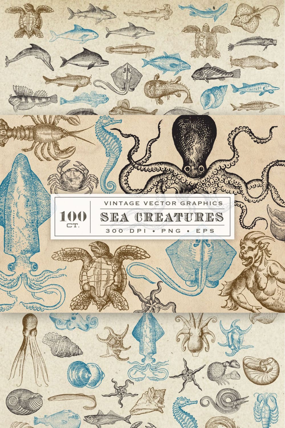 Antique Sea Creatures & Monsters pinterest image.