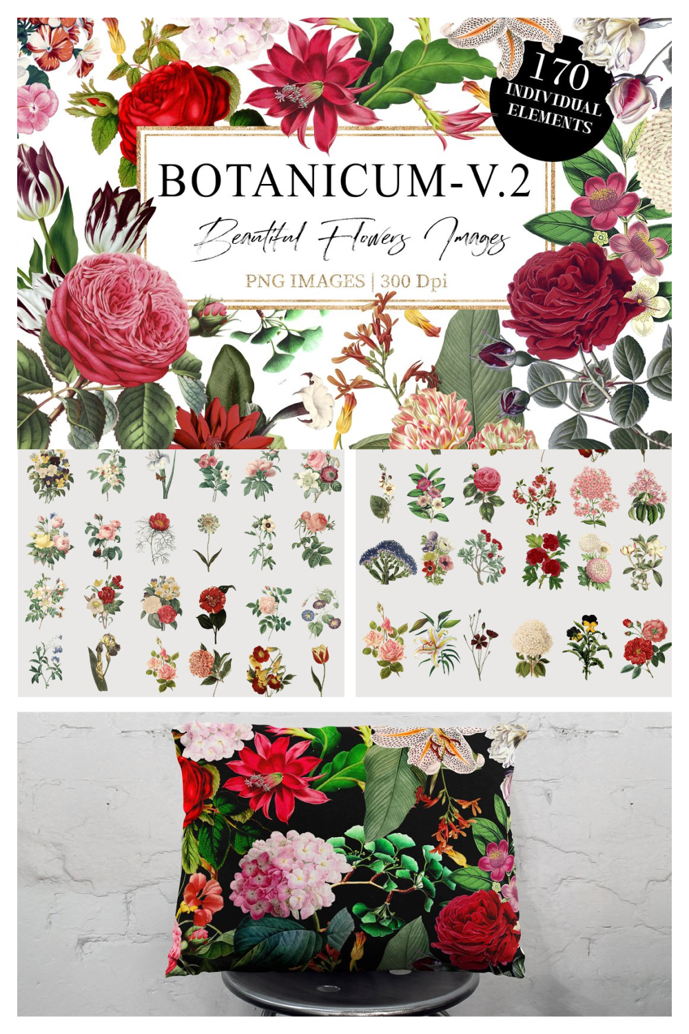 Pictures on the theme of botany are depicted.