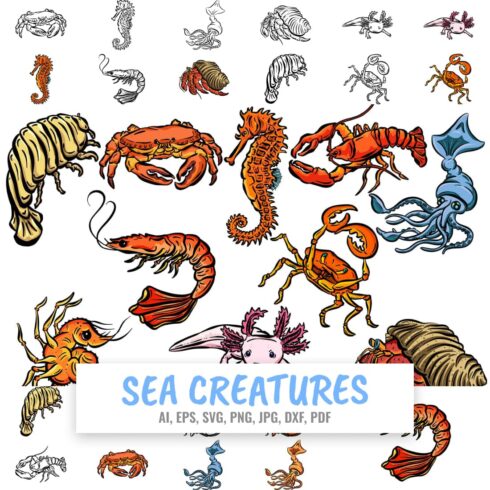 Cartoon Sea Creatures Crab Shrimp Axoloti Isopod Sticker SVG cover image.