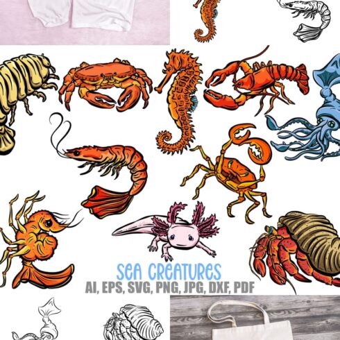 Cartoon Sea Creatures Crab Shrimp Axoloti Isopod Sticker SVG pinterest image.