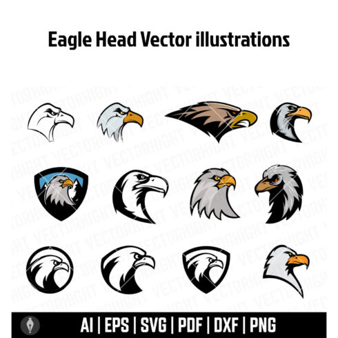 Set of eagle head illustrations.