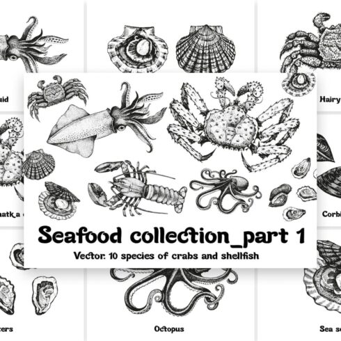 Seafood Collection Part 1 cover image.