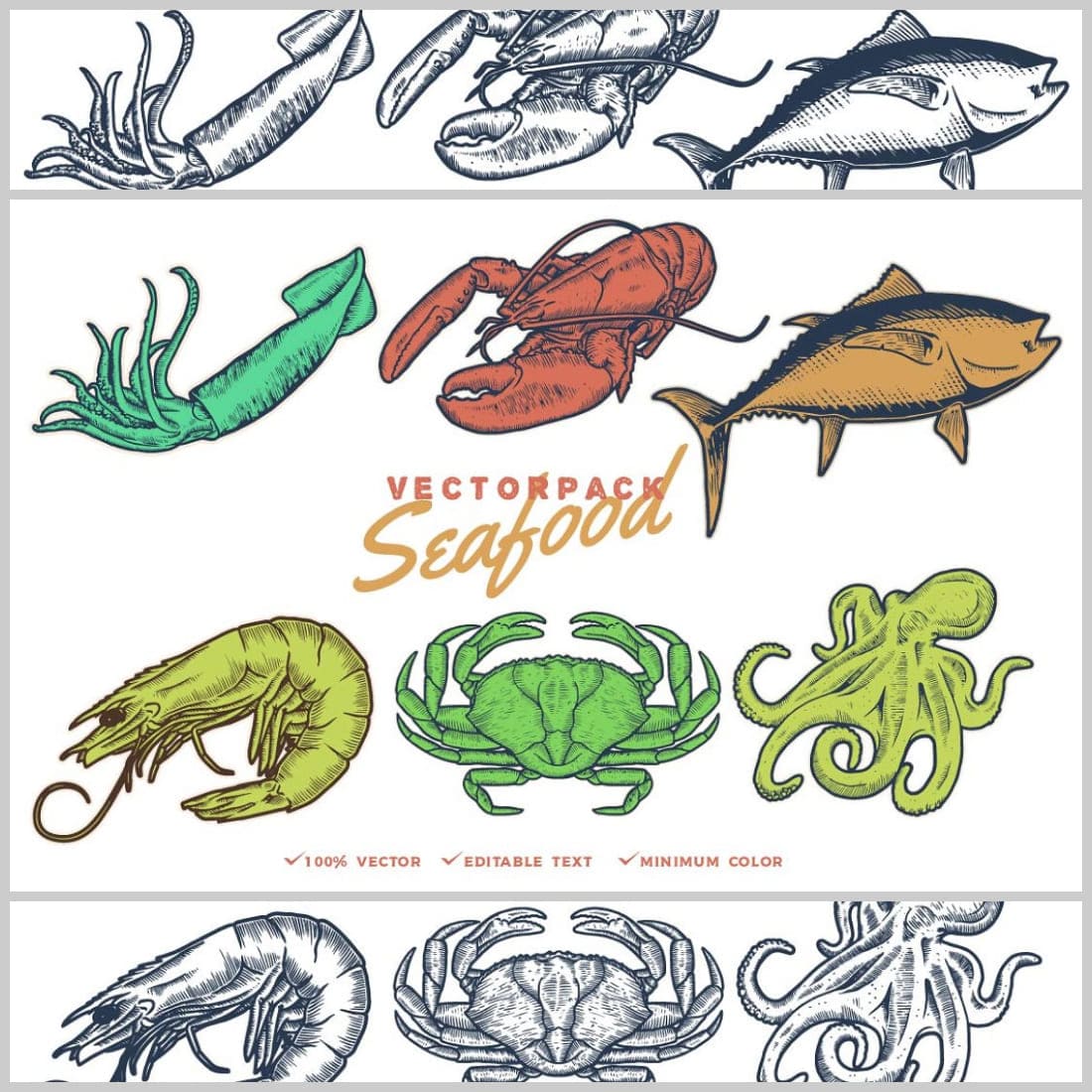 Seafood Vectorpack cover image.