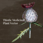 Preview images of thistle with inscription.