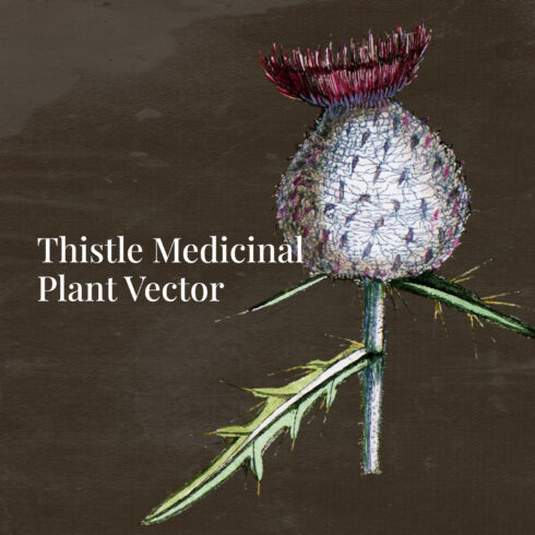 Preview images of thistle with inscription.