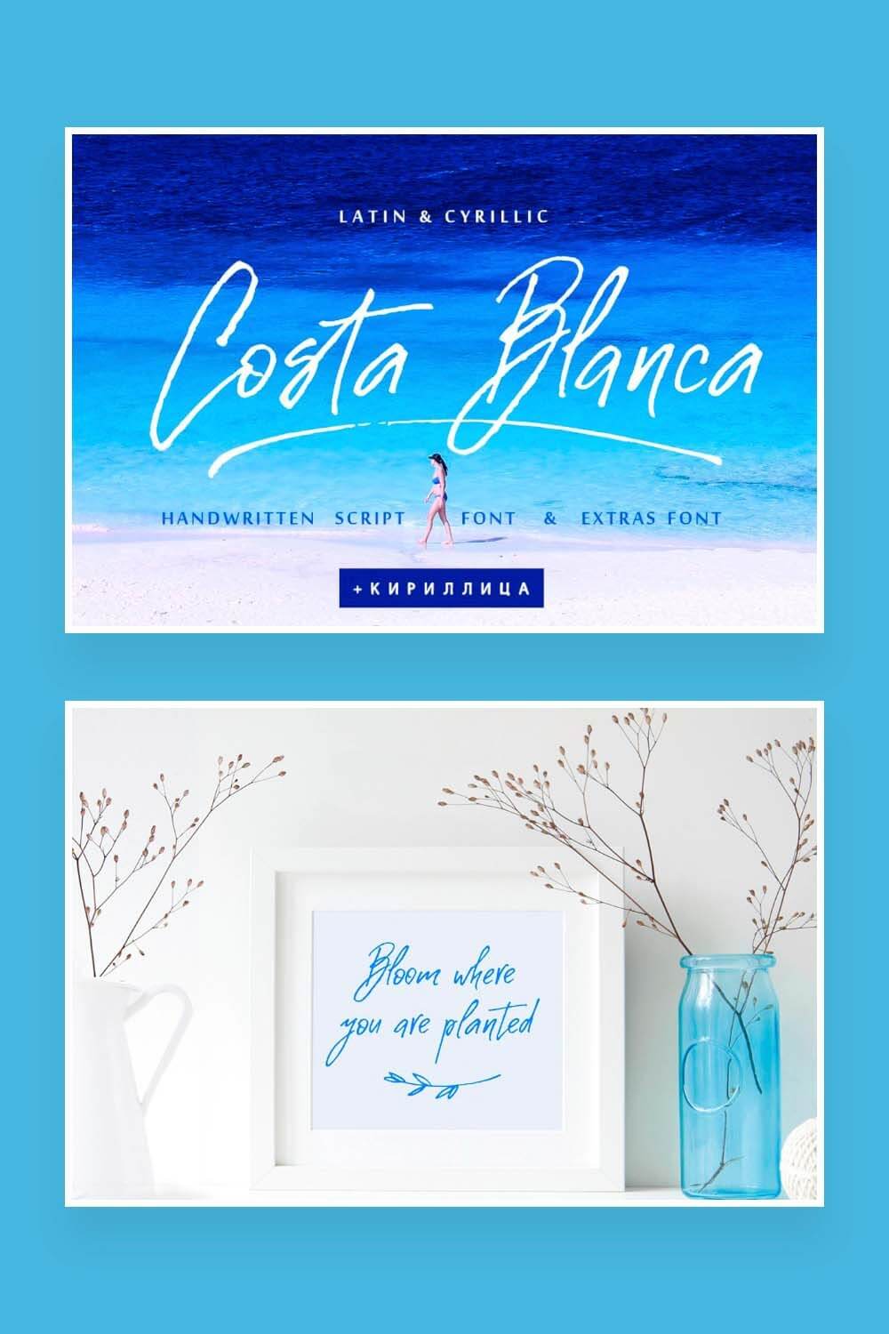 Latin & Cyrillic, Costa Blanca, Handwritten script font & Extras font. Bloom where you are planted.