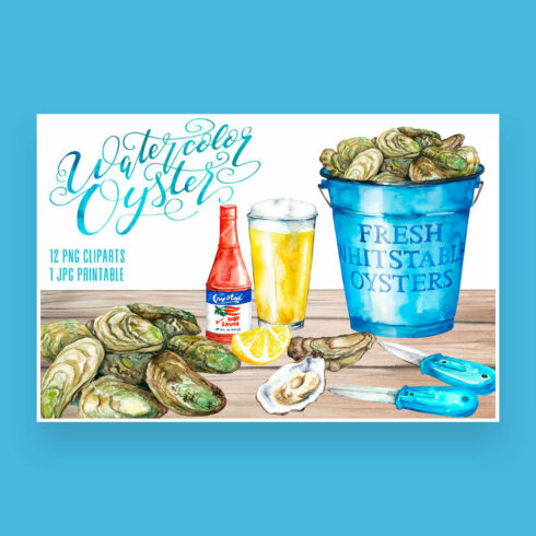 Oyster watercolor drawing, clipart.