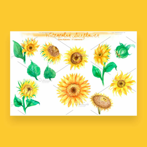 Set of watercolor sunflowers: 11 elements.