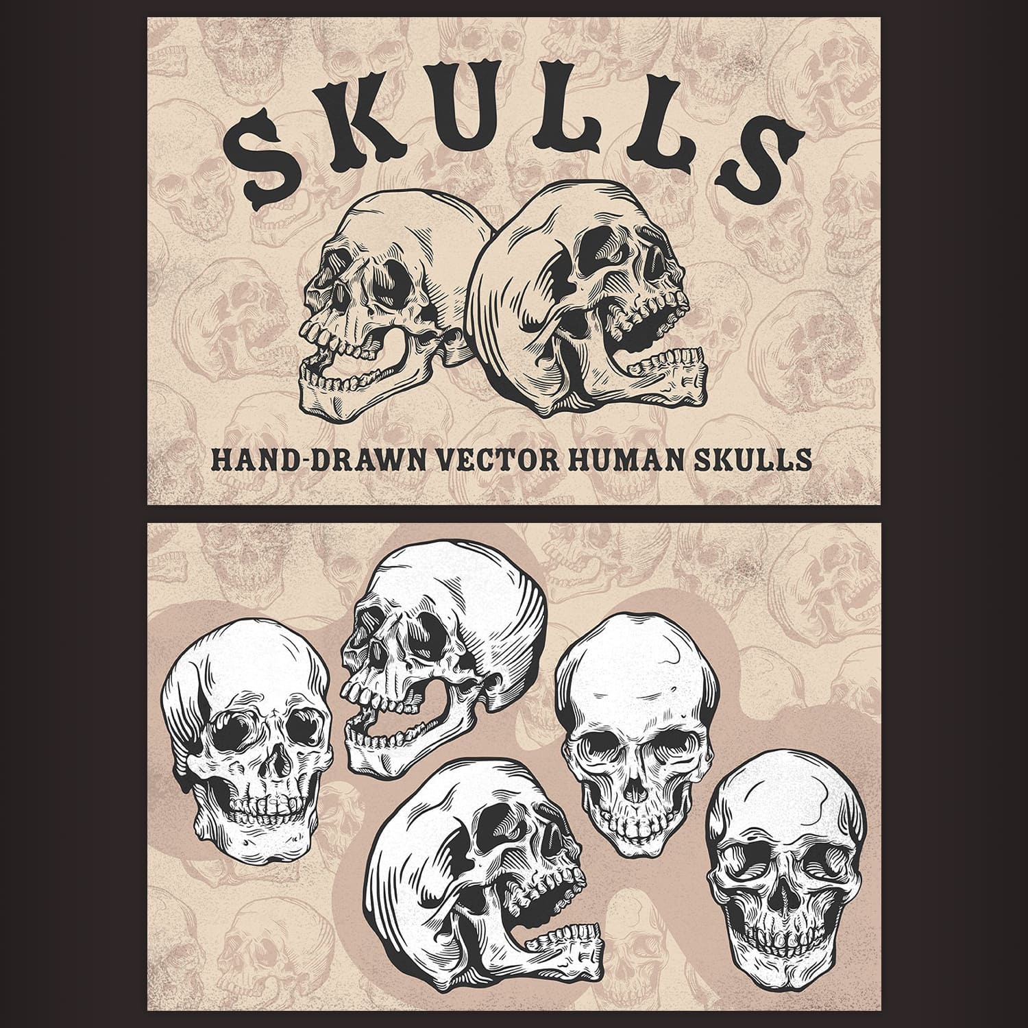 skulls set.