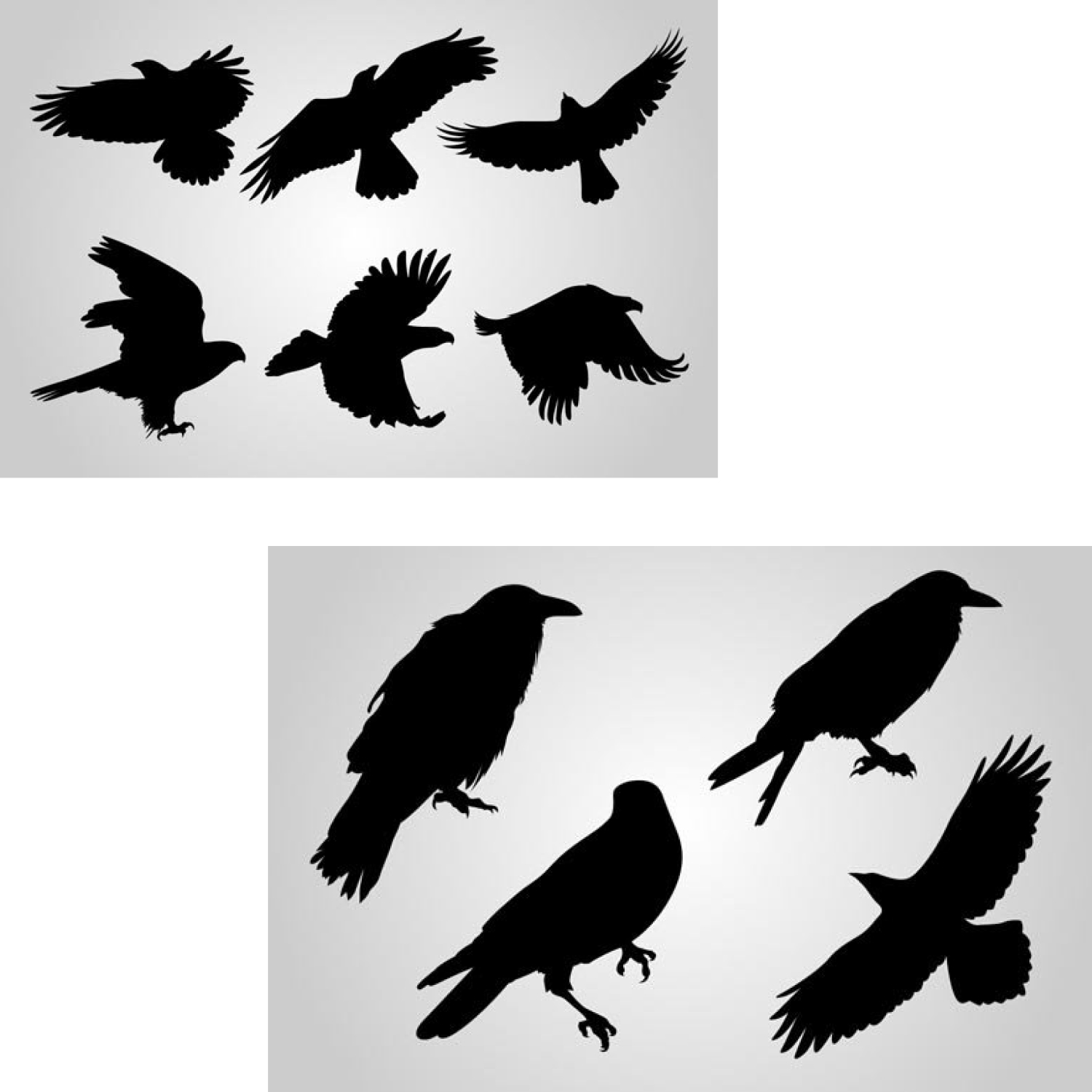 Depicted crows on a gray background.