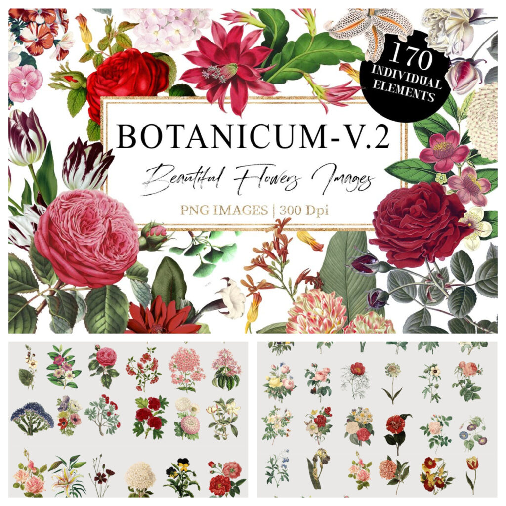 Rose Botanicum Botanicum - V.2 – MasterBundles