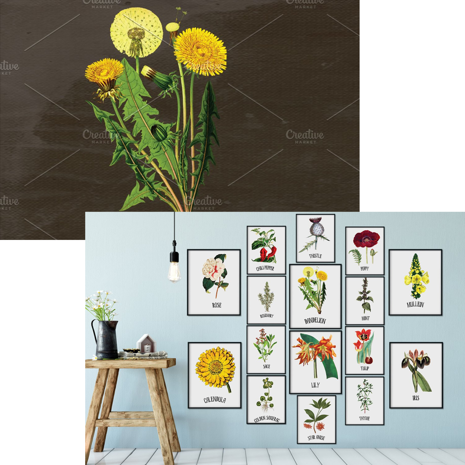Cool print with the image of dandelions.