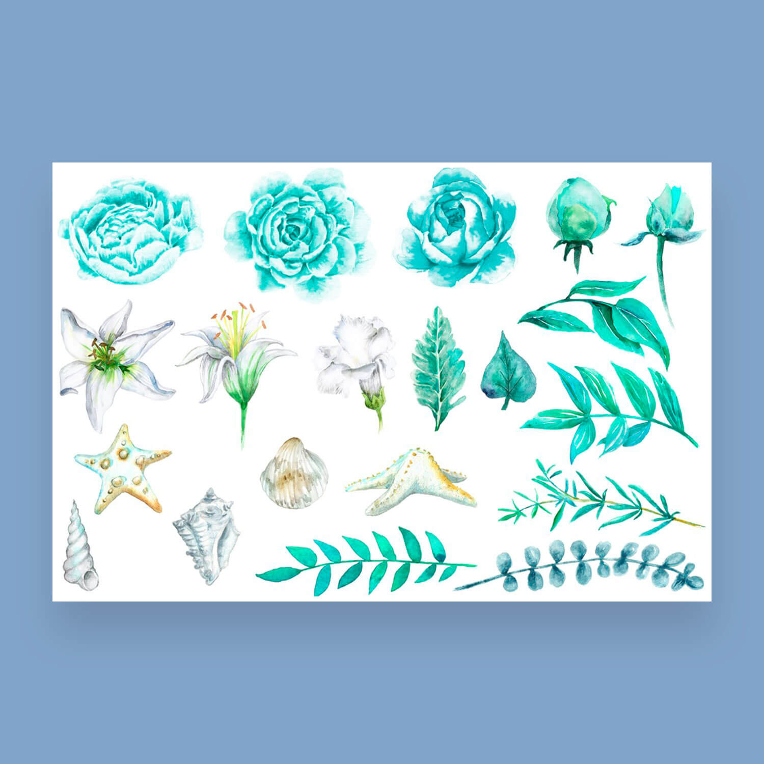 Watercolor drawings of aquamarine flower buds.