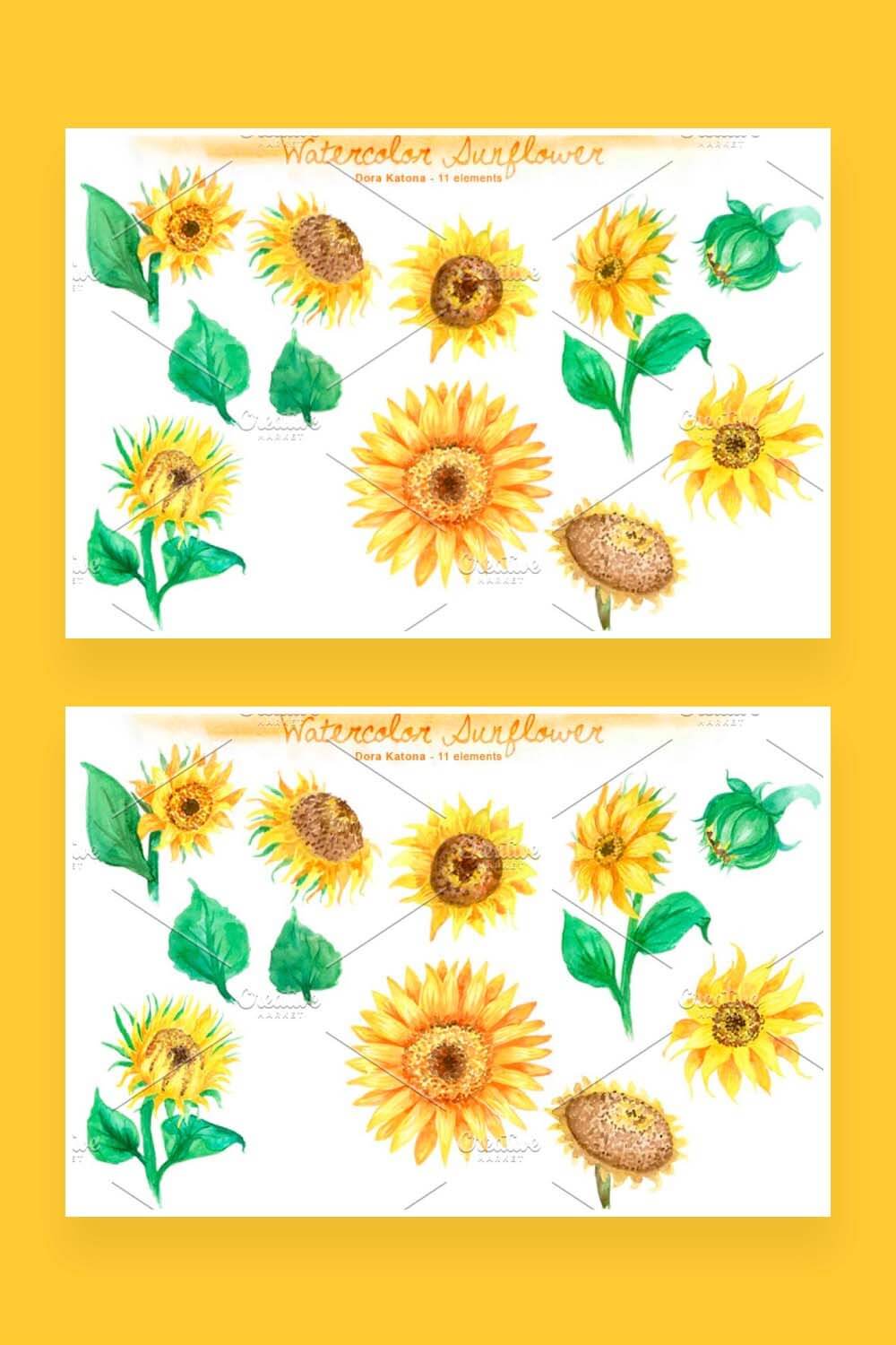 Double picture watercolor sunflower cliparts set.