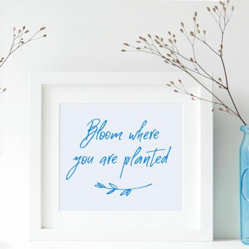 White painting on a white wall with the inscription: Bloom where you are planted.