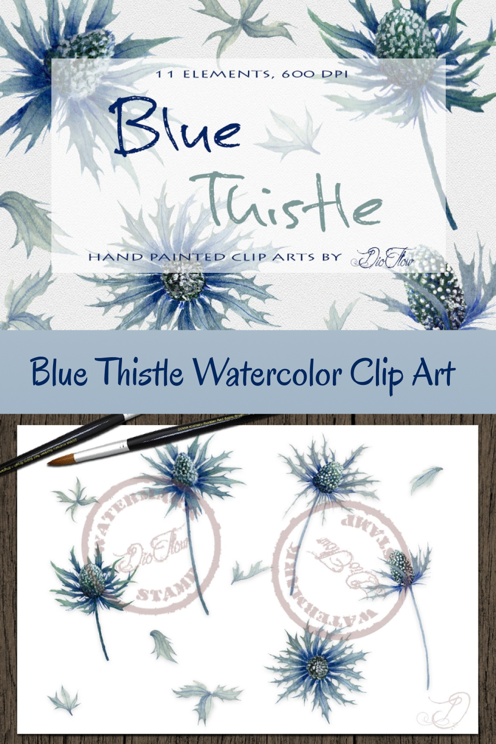 Blue thistle watercolor clip art of pinterest.