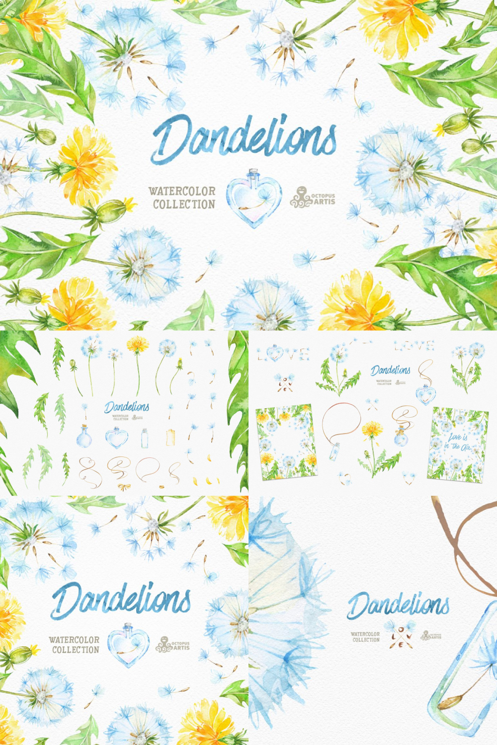 Dandelions. floral collection of pinterest. 1000 1500