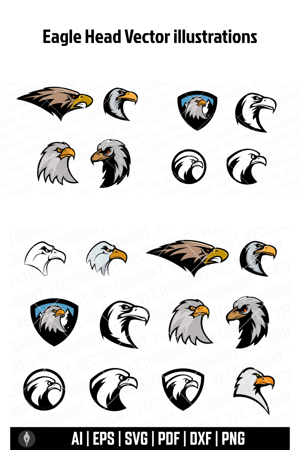 Set of eagle head illustrations on a white background.
