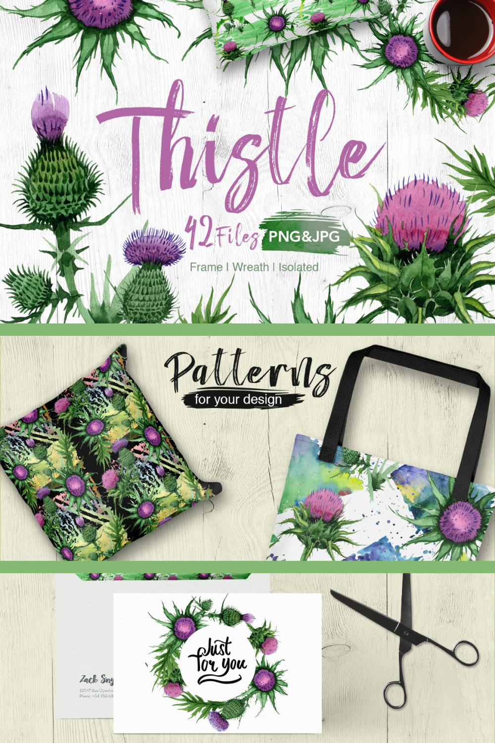Thistle flowers png of pinterest.