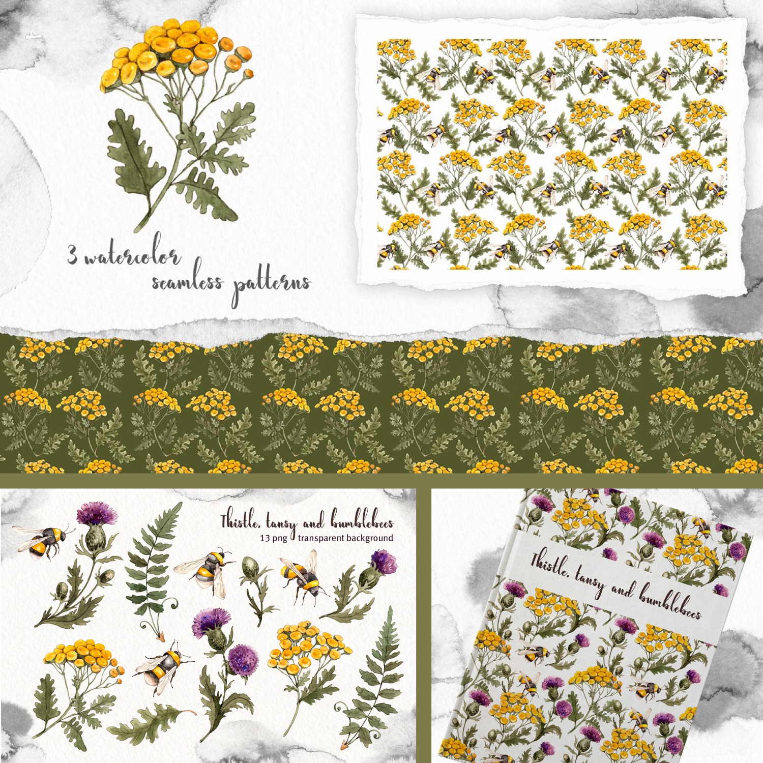 Thistle tansy bumblebees watercolor of pinterest.