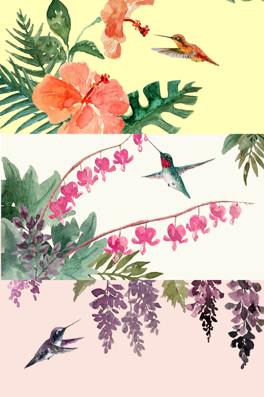 Three drawings of hummingbirds in the garden with different backgrounds.