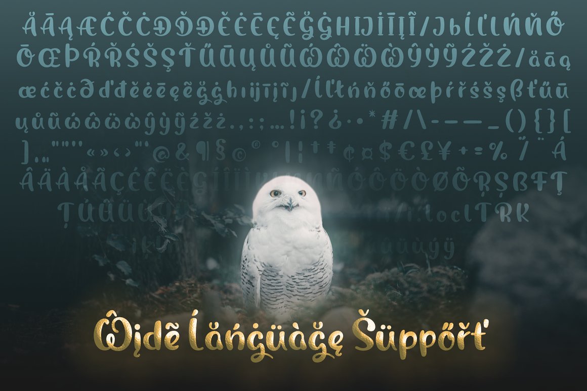 07Font on a dark green background with a white owl is shown.