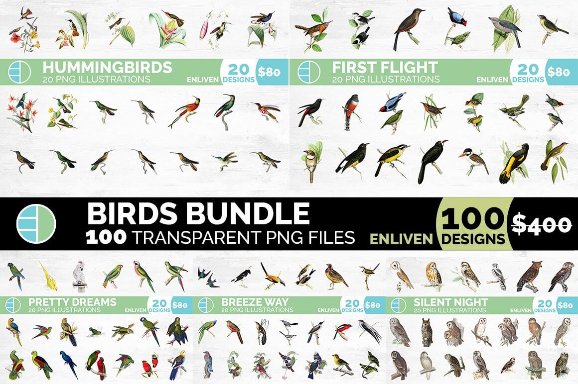 Drawings of more tropical birds and the inscription "Bird Bundle (100 birds)".