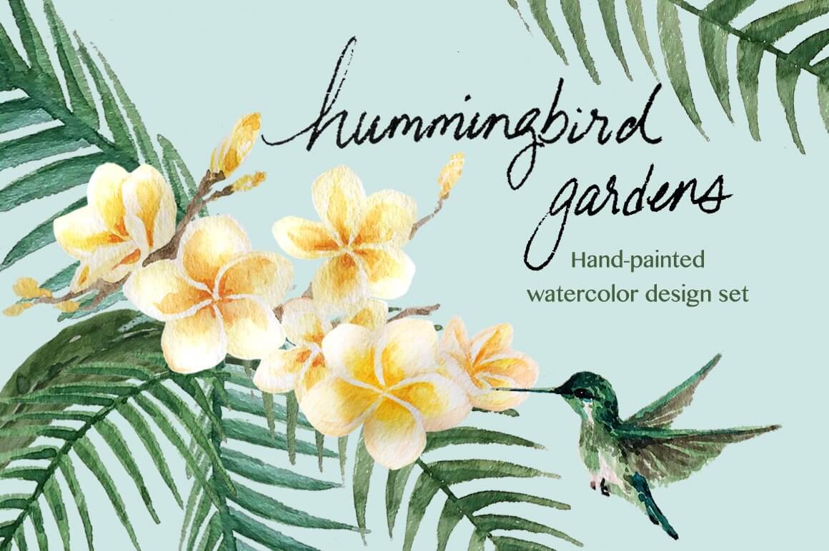 Large drawing of a hummingbird near a branch of tropical flowers on a green background.