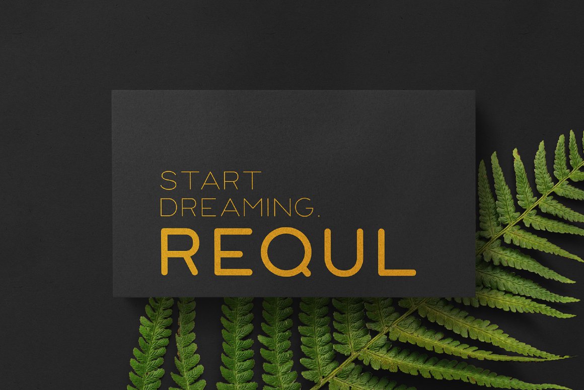 Start dreams inscription on the image on a black background with a branch of a plant.